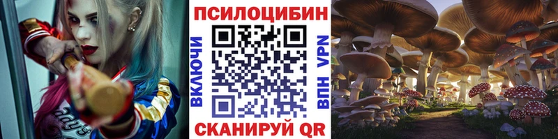 Псилоцибиновые грибы Cubensis  Щучье 