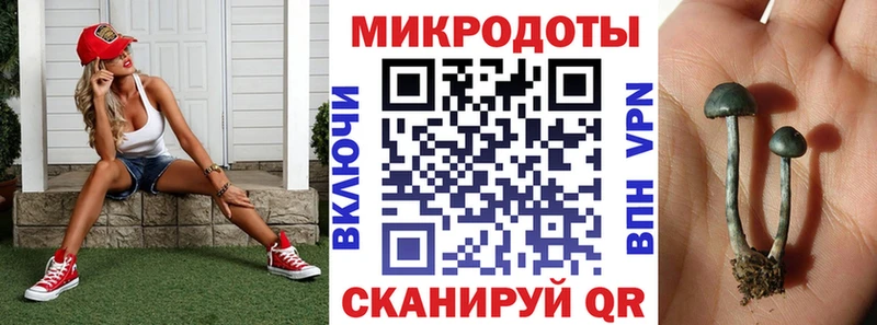 Псилоцибиновые грибы Psilocybe Щучье