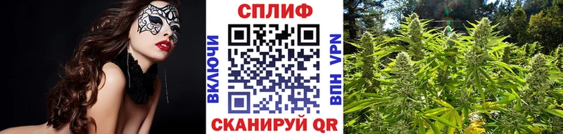 MEGA tor  Щучье  МАРИХУАНА Amnesia  купить  сайты 